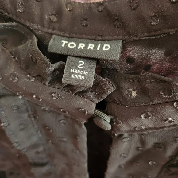 Torrid Black Sheer Polka Dot Ruffle Short Sleeve Blouse Top - Picture 5 of 7